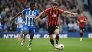 матч Брайтон — Борнмут